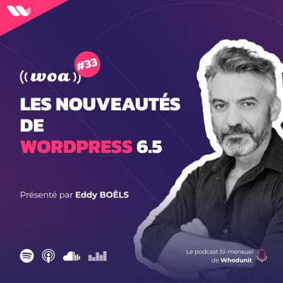 Les nouveautés de WordPress 6.5