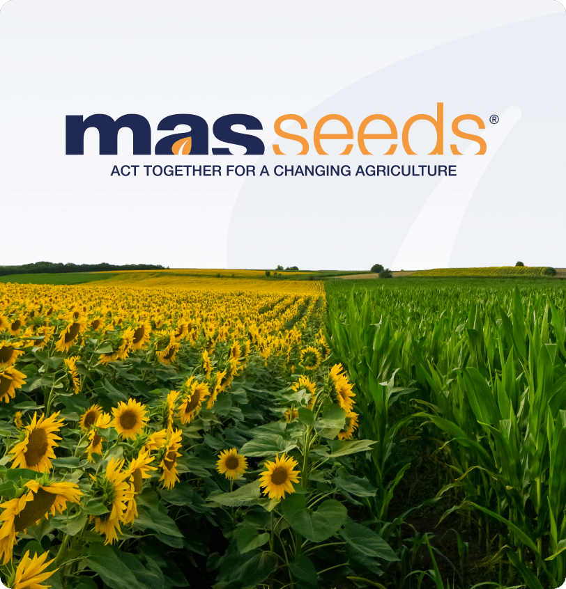 Mas Seeds (Groupe Maisadour)